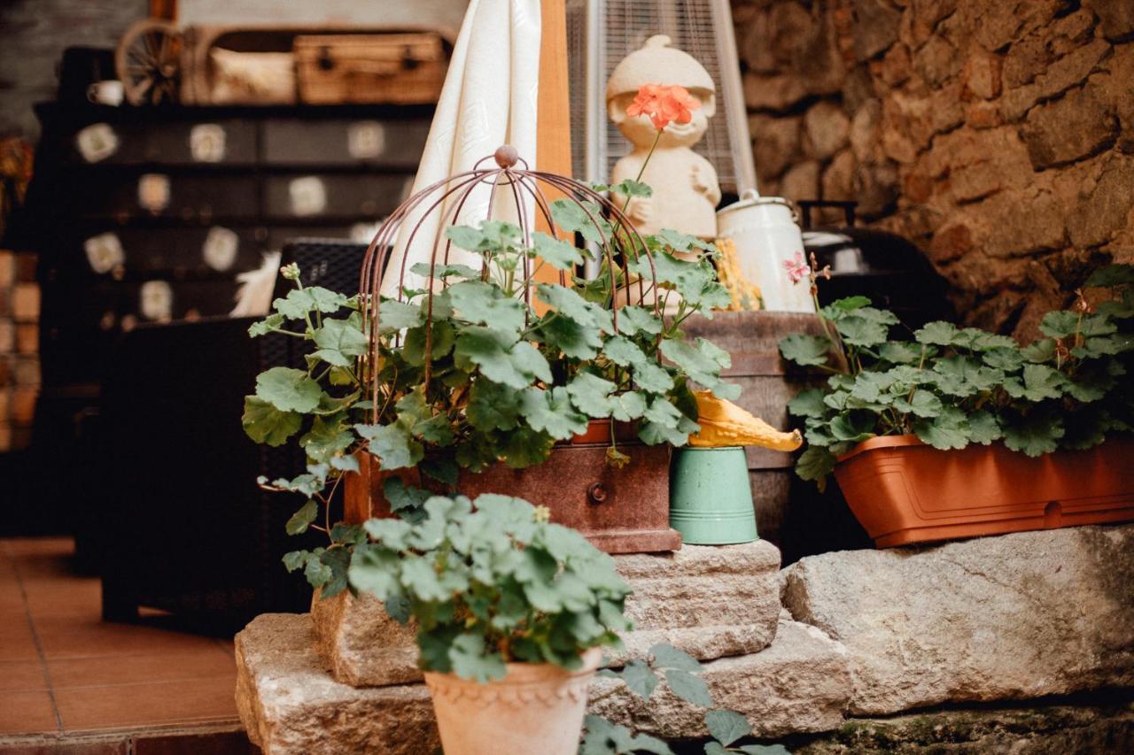 Strieborny Dvor Appartement Banská Štiavnica Buitenkant foto